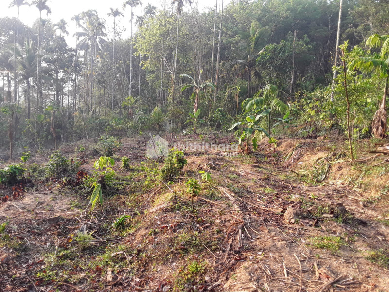 Commercial Plots available for Sale in Kalpetta, Wayanad