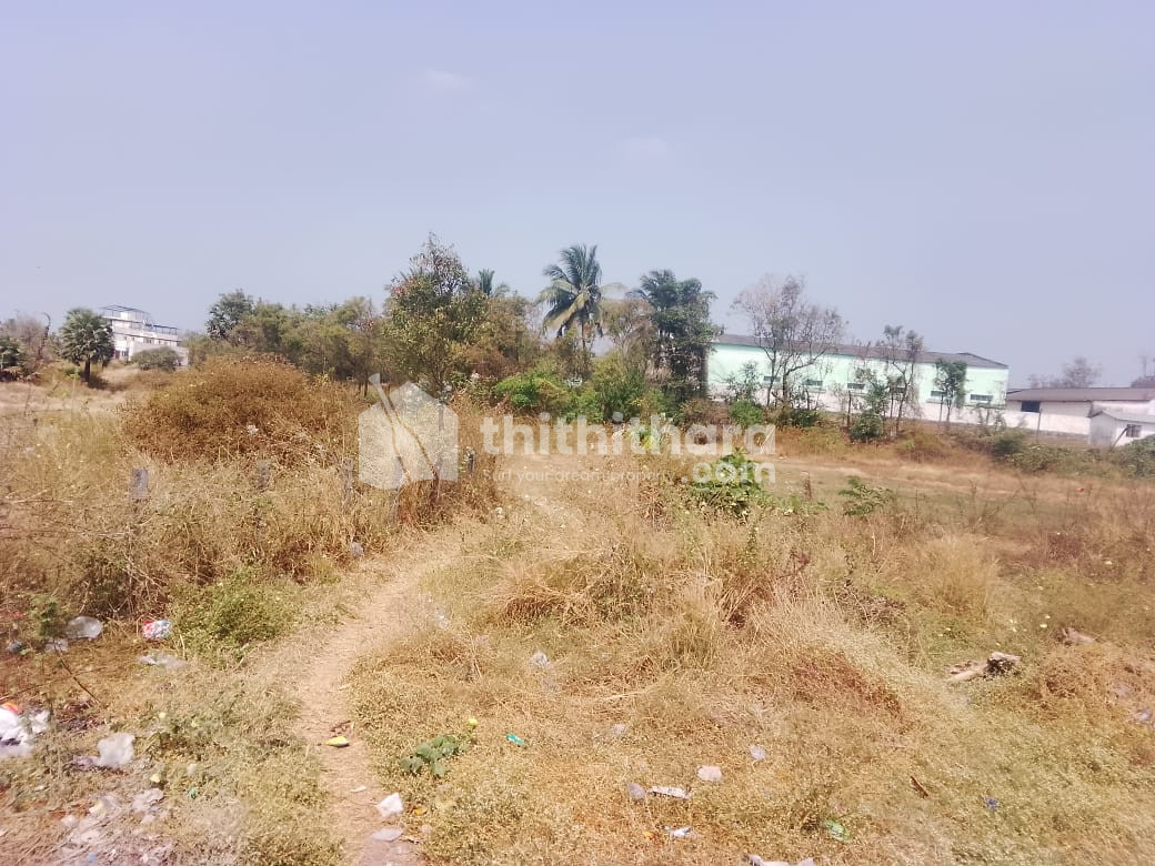 Residential Land available for Sale in Chittur Palakkad