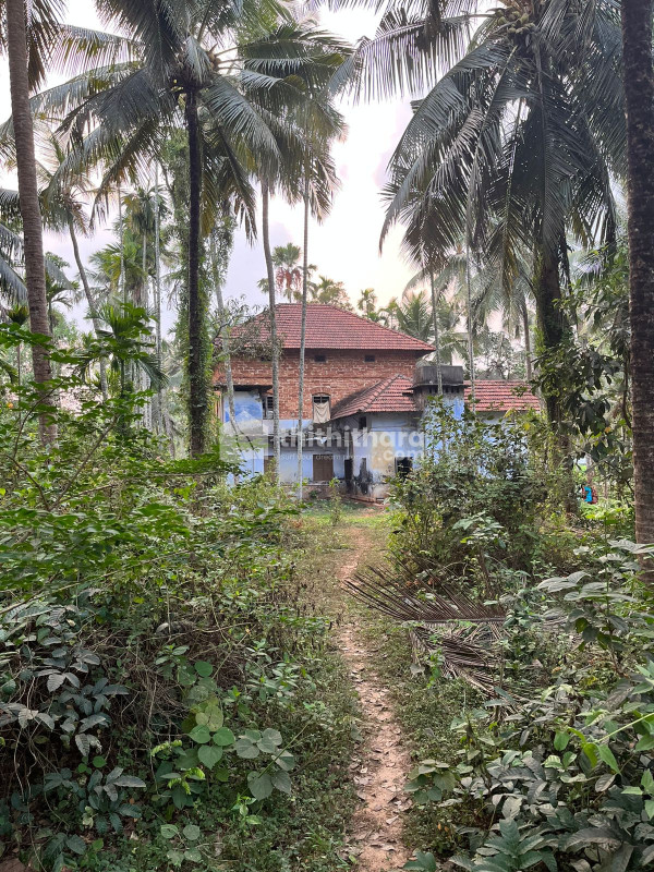 Housing Plots for sale in MAHE (UT of Pondicherry), Thalassery