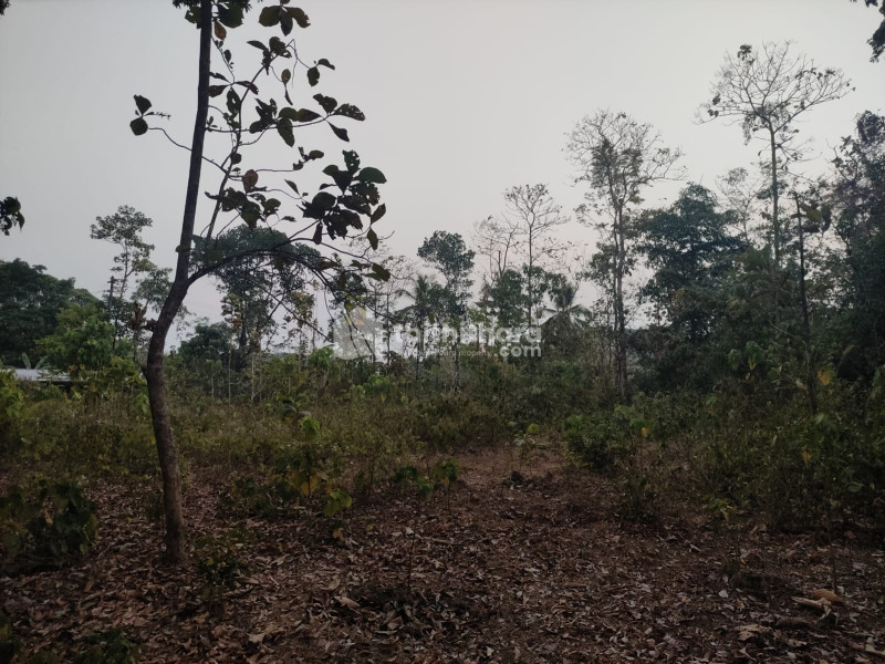  50 Cent Residential Land for sale in Meloor Chalakkudy Thrissur