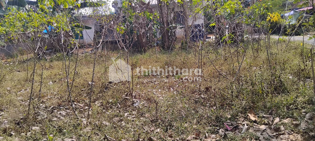 Commercial Plots available for Sale in Kothamangalam Ernakulam