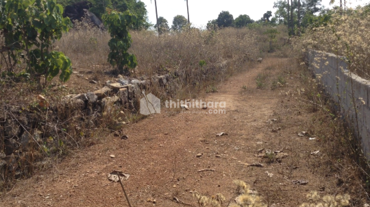 Land for Sale in Kaipady Thiruvananthapuram 