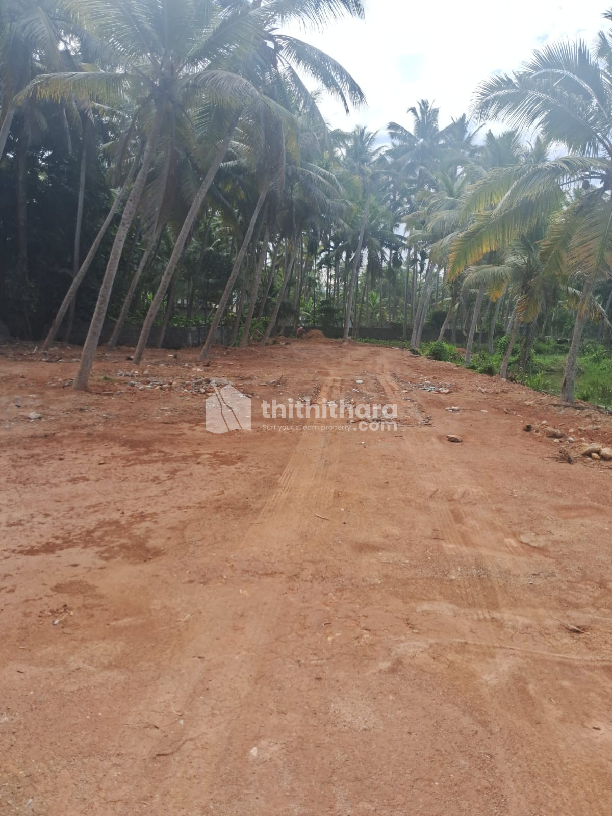 Residential Land available for Sale in Karumom Thiruvananthapuram