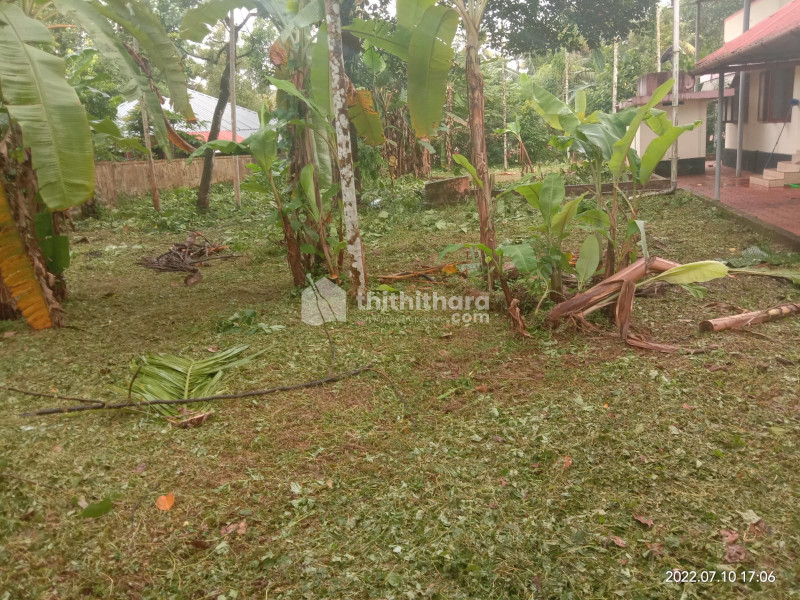 Land for Sale in Chalakudy Thrissur 