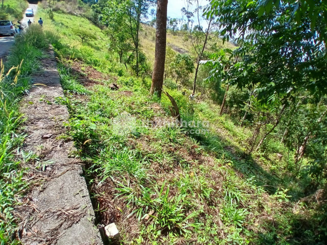  Land available for Sale in  Udumbanchola, Idukki