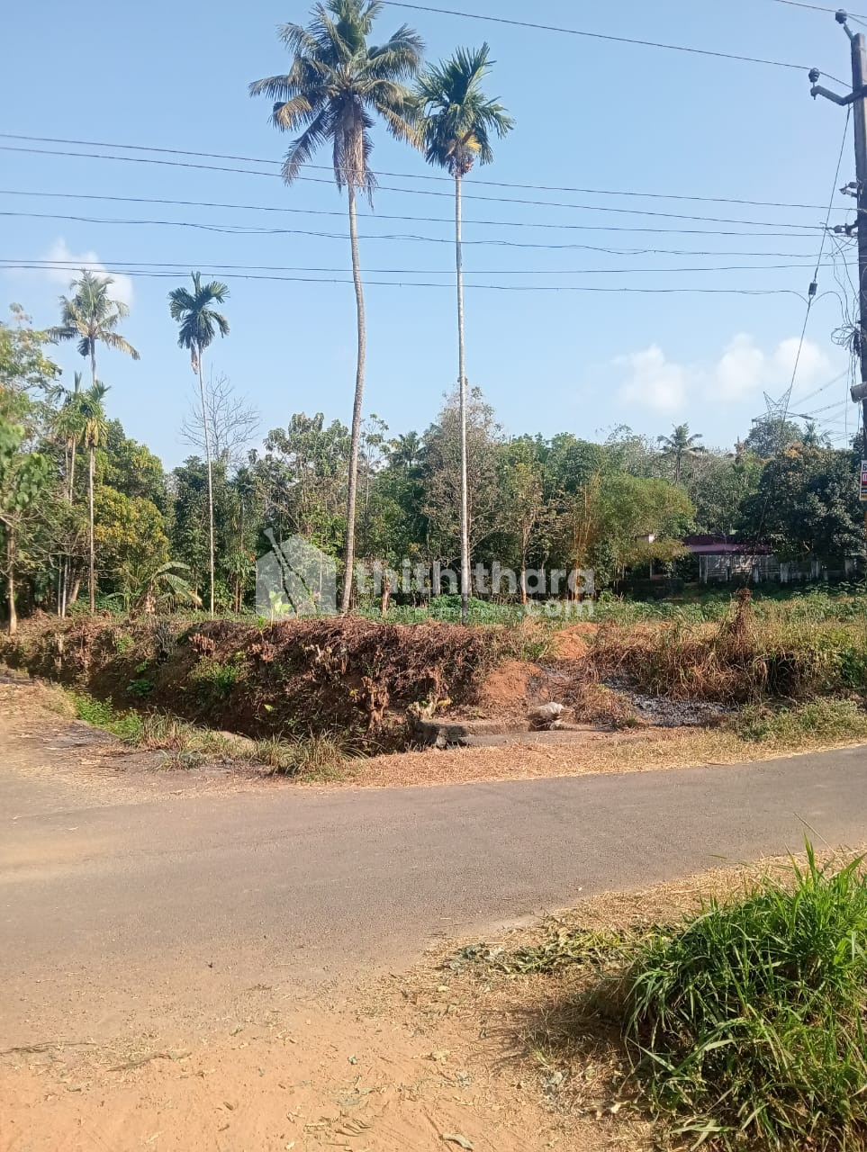 Residential Land available for Sale in  Perumbavoor, Ernakulam