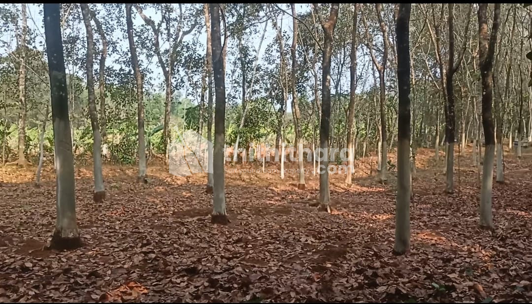 Land available for Sale in Kongad, Palakkad