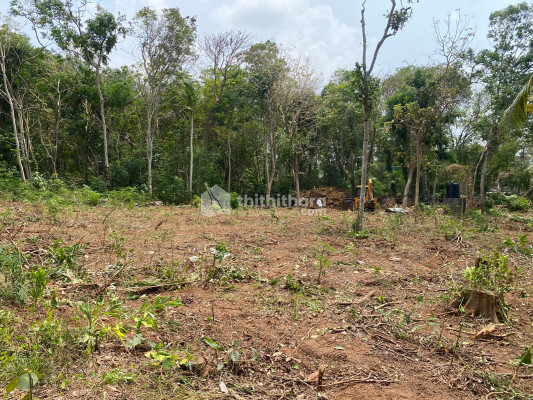 Residential Land available for Sale in Kawdiar Thiruvananthapuram