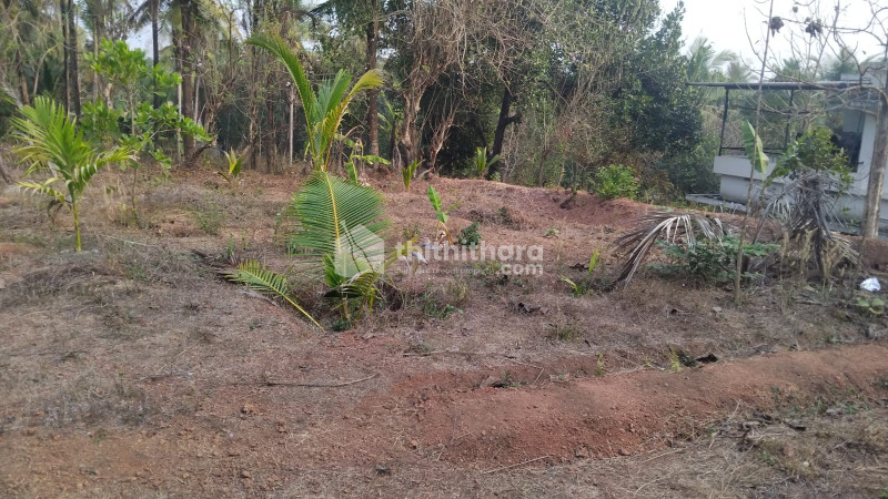 Land for Sale in Thrikaripur Kasaragod
