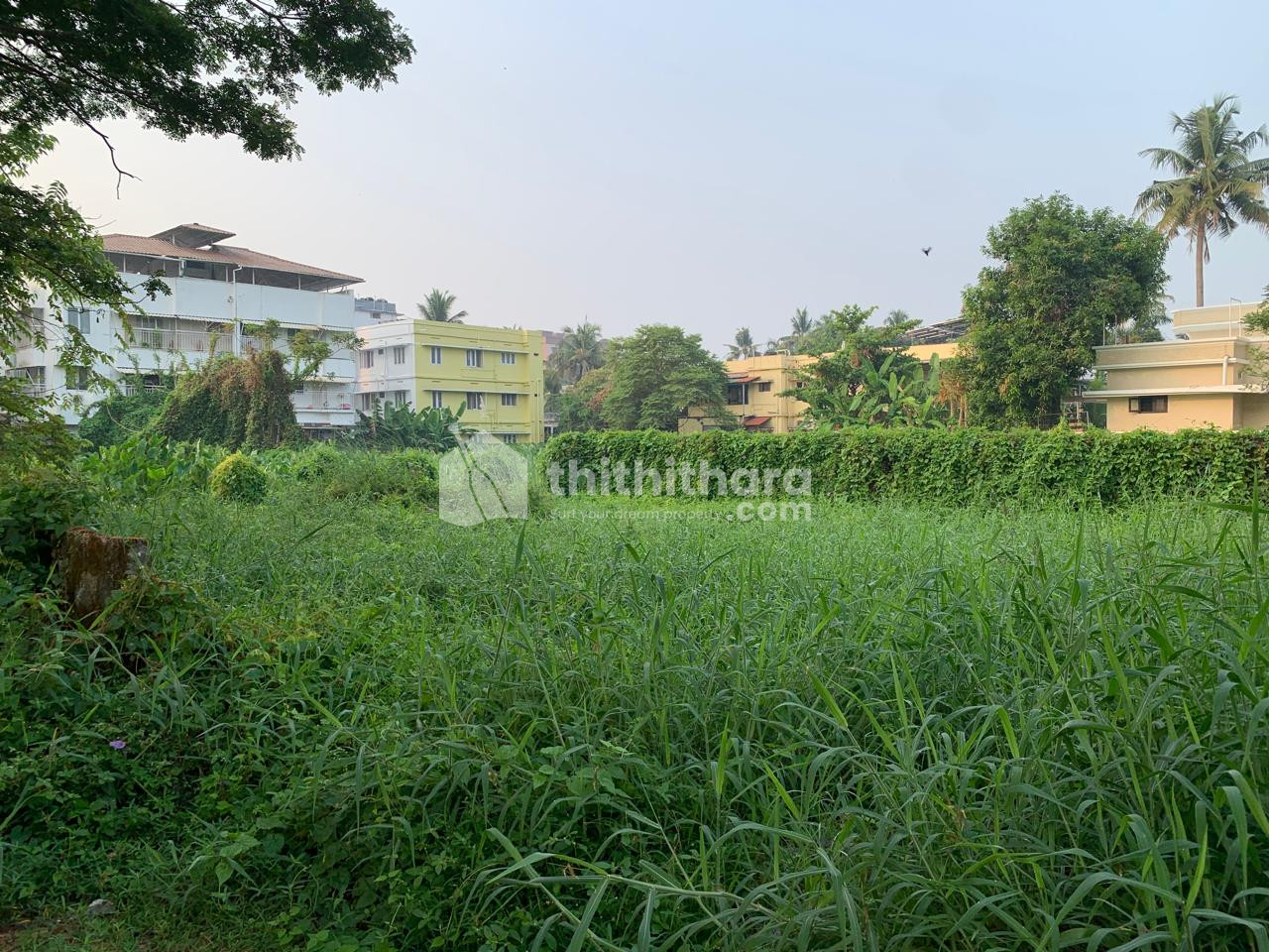 Residential Land available for Sale in Kaloor Ernakulam