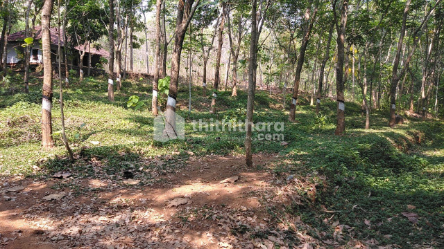Commercial plot for sale at  Thonnurkkara,  Thrissur