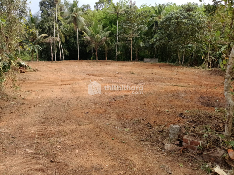 Residential Land available for Sale in Mallappally Pathanamthitta