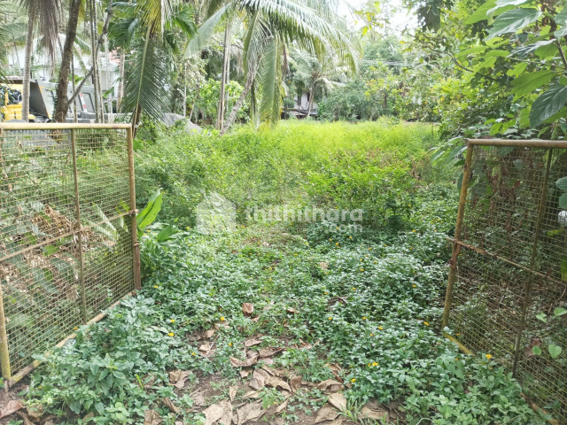 Residential Land for sale in Kovoor Kozhikode