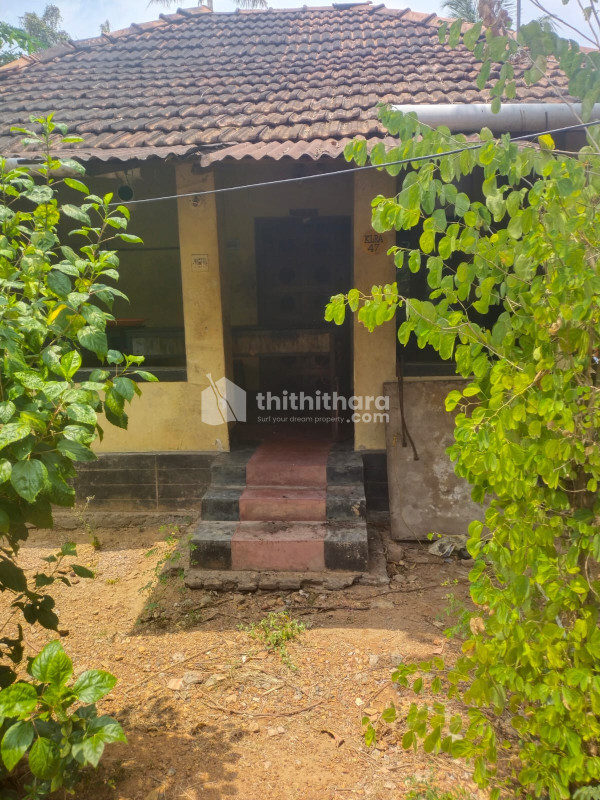 Residential Land available for Sale in Ayyanthole Thrissur