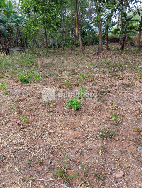 Residential Land available for Sale in Kottarakkara Kollam