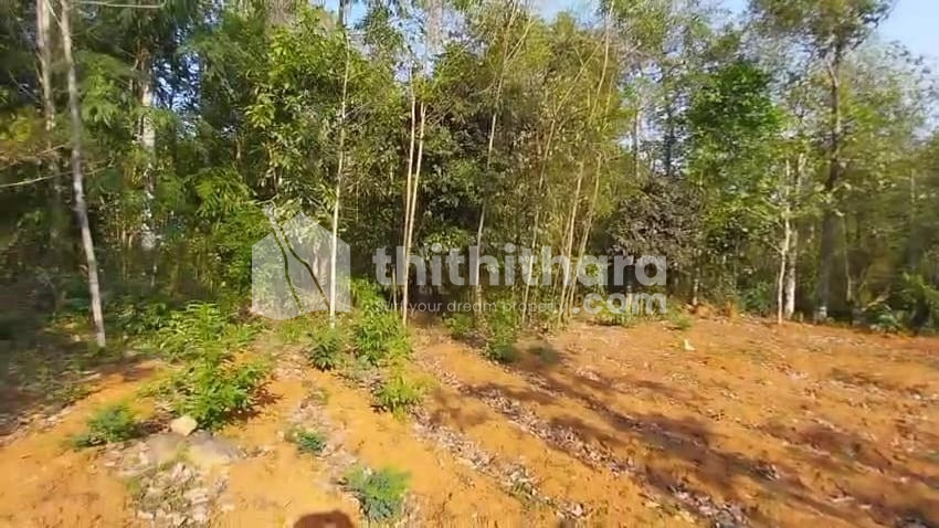 Residential Land available for Sale in Pattambi Palakkad
