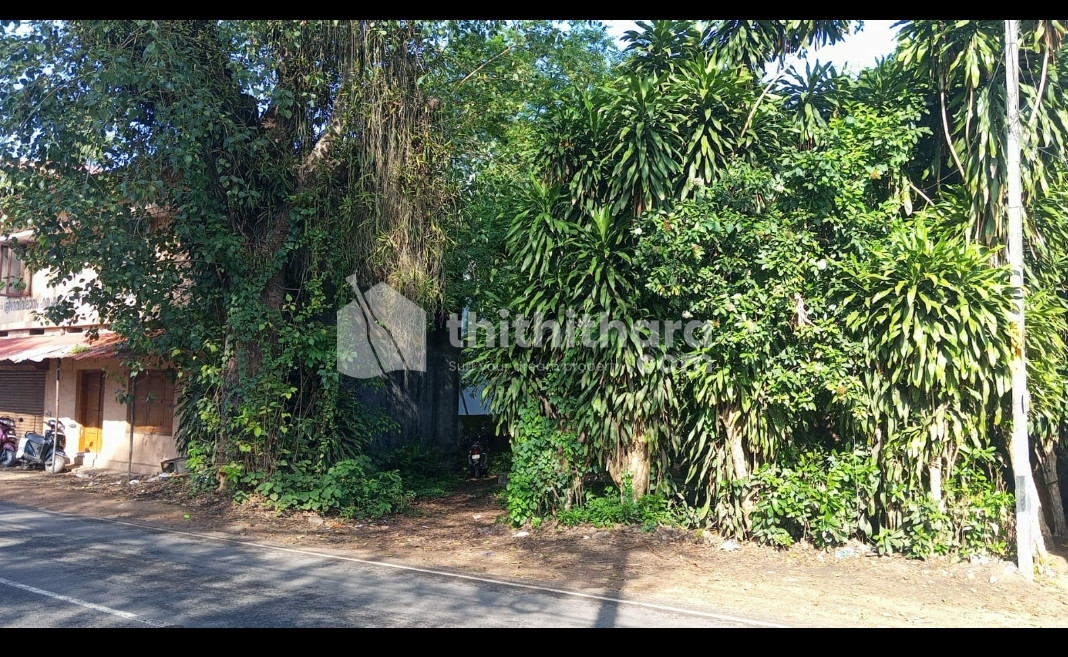 Commercial Plots available for Sale in Mavelikkara Alappuzha