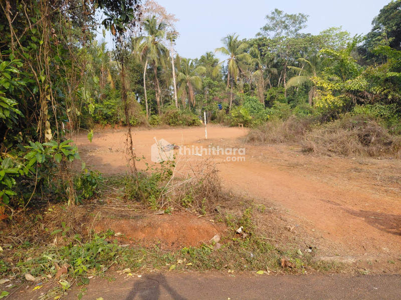Residential Land available for Sale in Kunnamkulam Thrissur