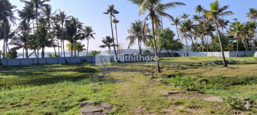 Residential Land available for Sale in Ulliyakoval Kollam