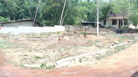 Residential Land available for Sale in Neyyattinkara Thiruvananthapuram