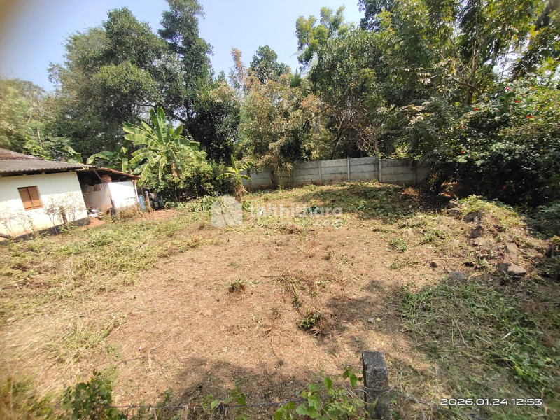 Residential Land available for Sale in Alathur Palakkad