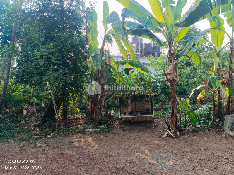 Residential Land available for Sale in Kalamassery Ernakulam