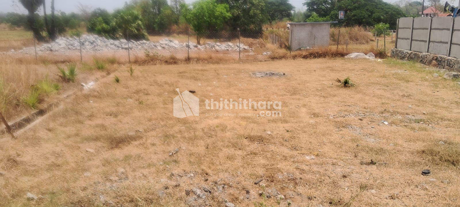 Land for Sale in Kallepully Palakkad