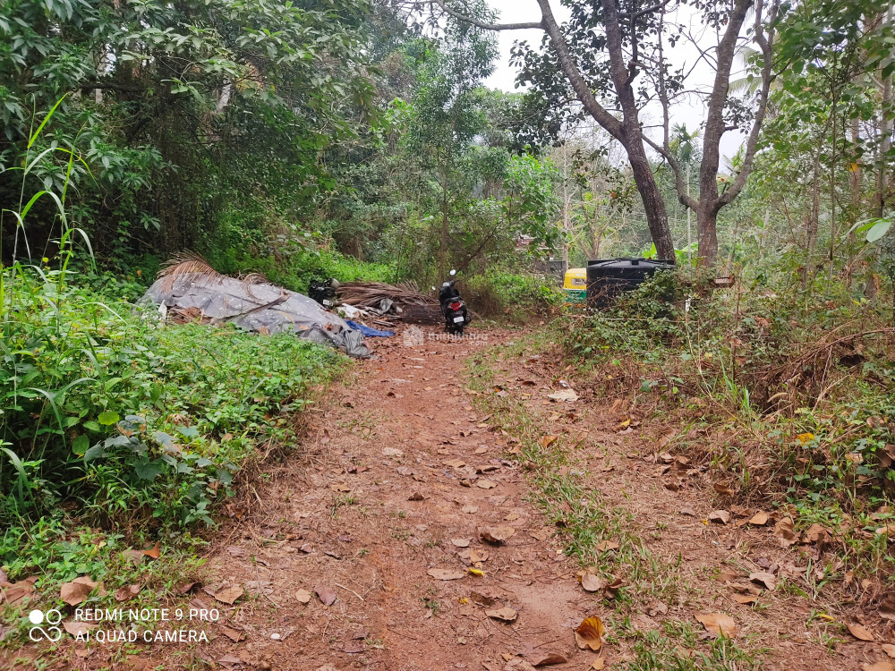 23 cent Land For Sale In Kallayam Thiruvananthapuram