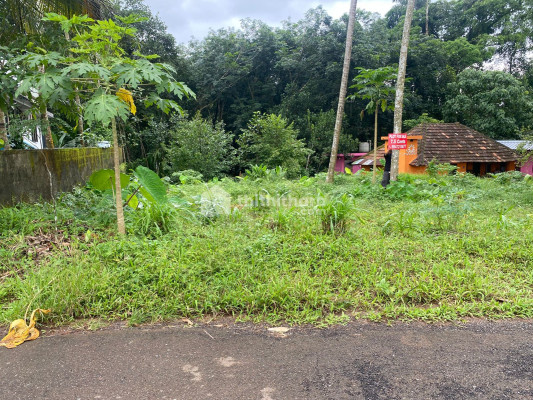 Prime Residential Plot for Sale in Vengola – Road Frontage 