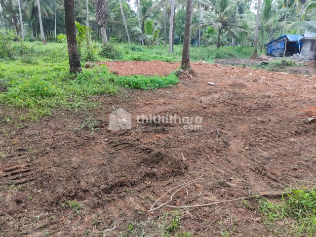 33 Cents land for sale in Kakathuruth Irinjalakuda Thrissur