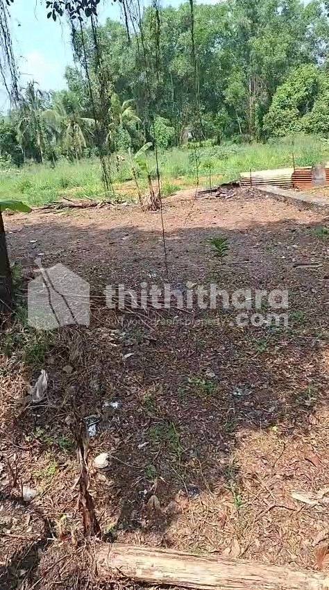 Land for Sale in Kakkor Kottayam