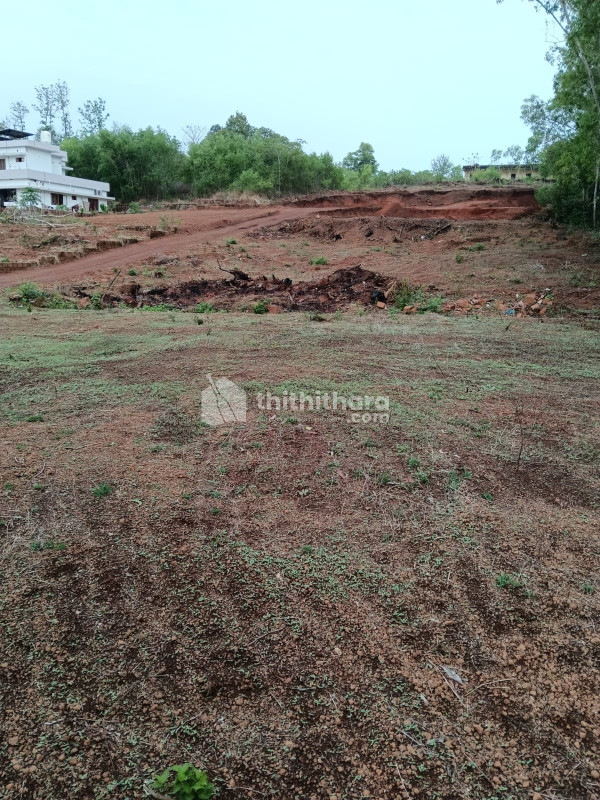 Land for Sale in Payyanur Kannur