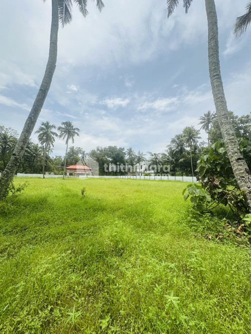  Land for Sale in Mavelikkara Alappuzha