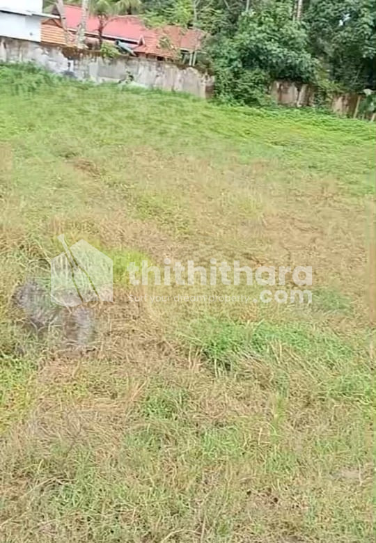 Land for Sale in Kayamkulam Alappuzha
