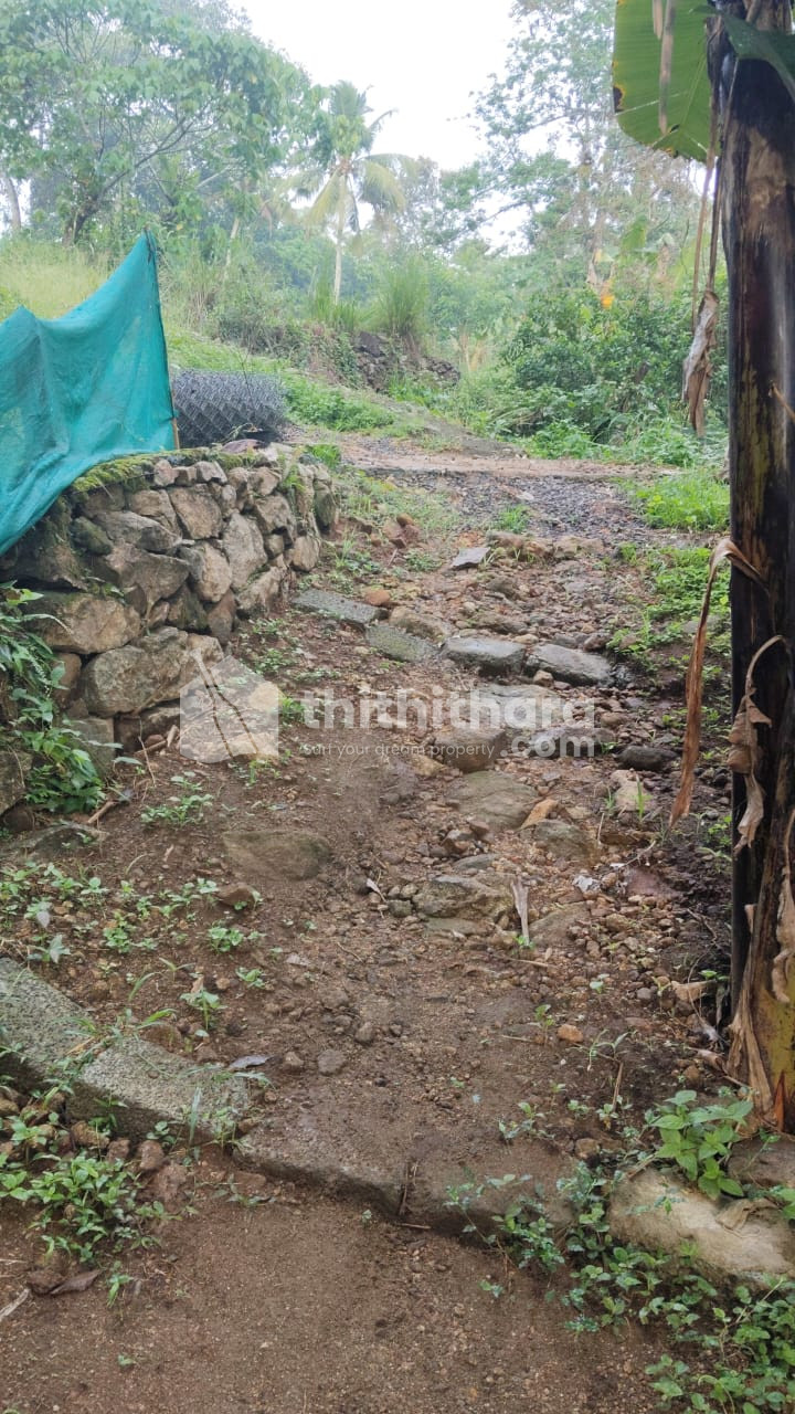 Land for Sale in Kozhenchery Pathanamthitta