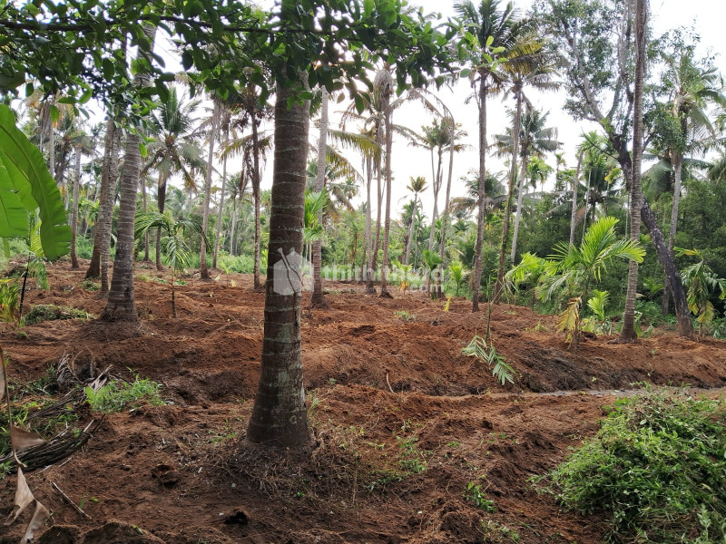 Land for Sale in Chalakudy Thrissur