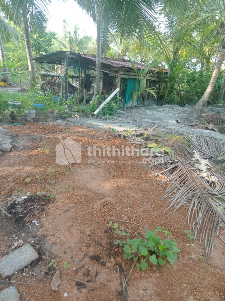 Land for Sale in Kochi Ernakulam