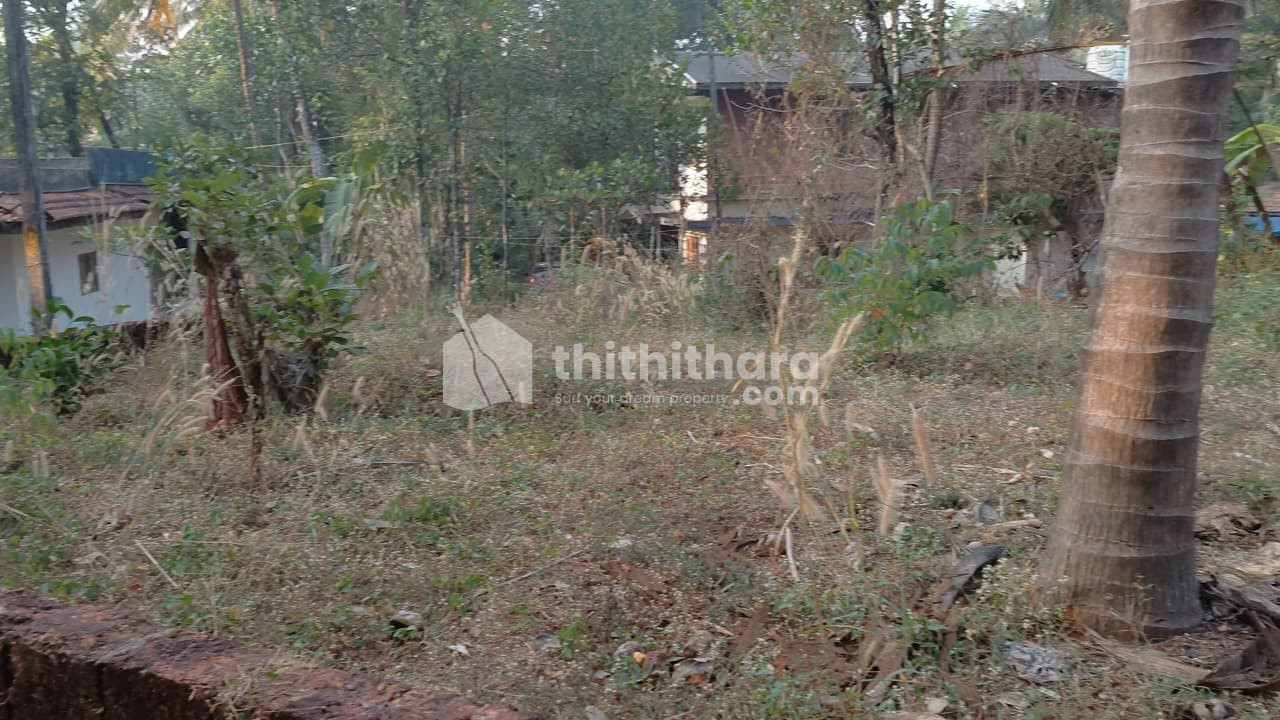 Land for Sale in Mattanur Kannur