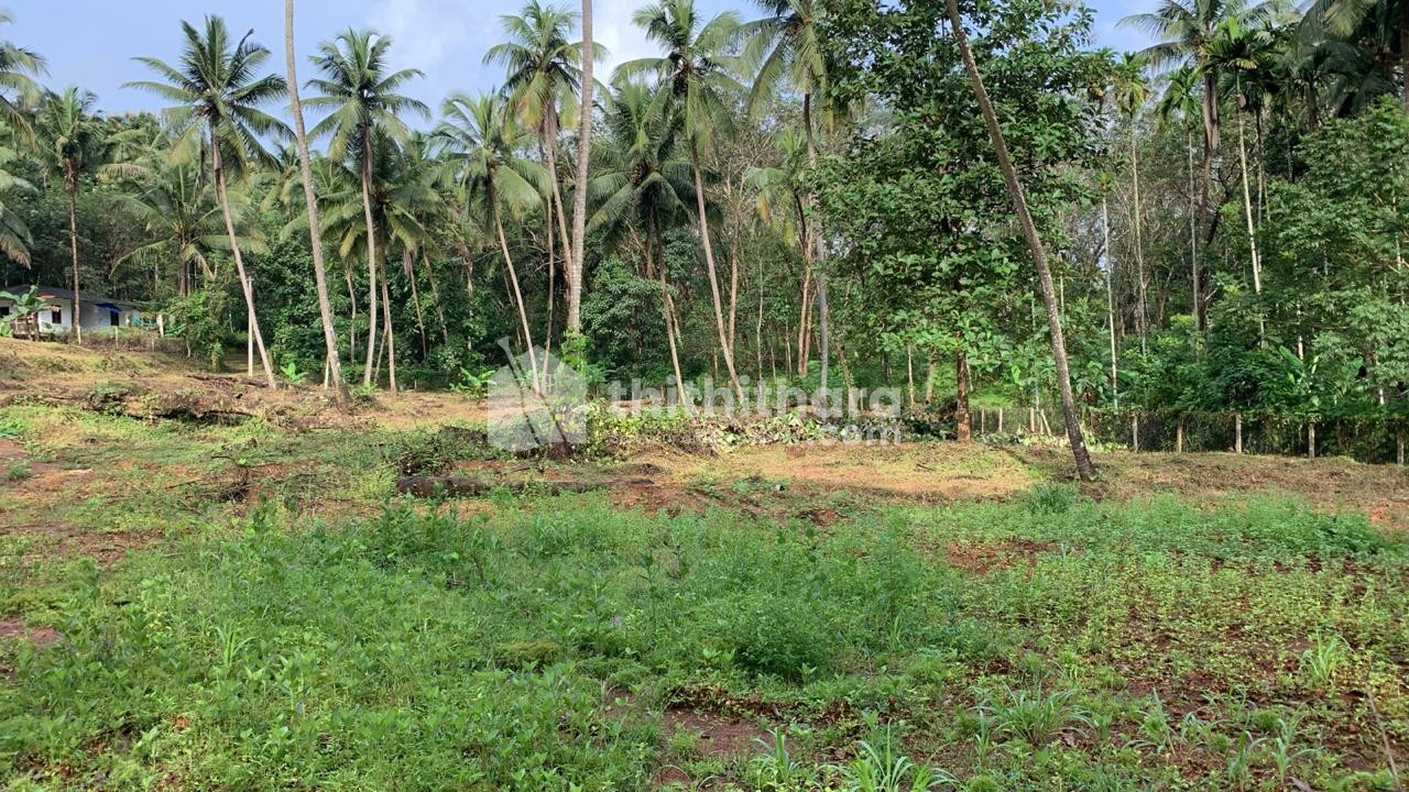 Land For Sale In  Iritty Kannur