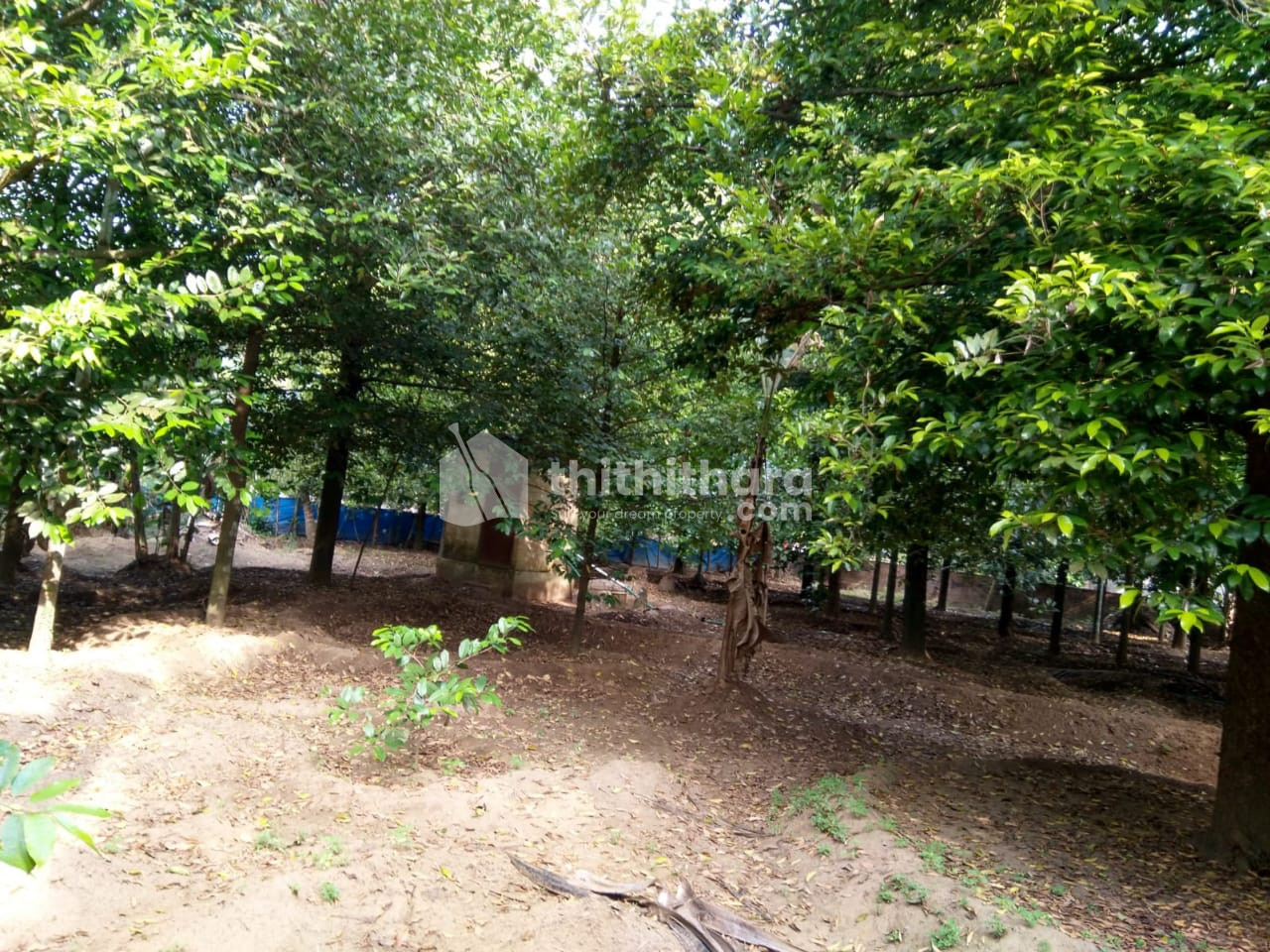 Land for Sale in Kodungallur Thrissur