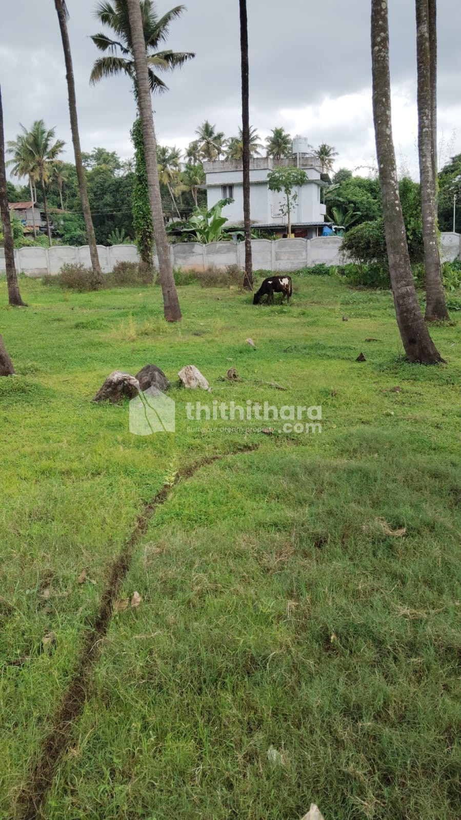 Land for Sale in Near Ollur Thrissur