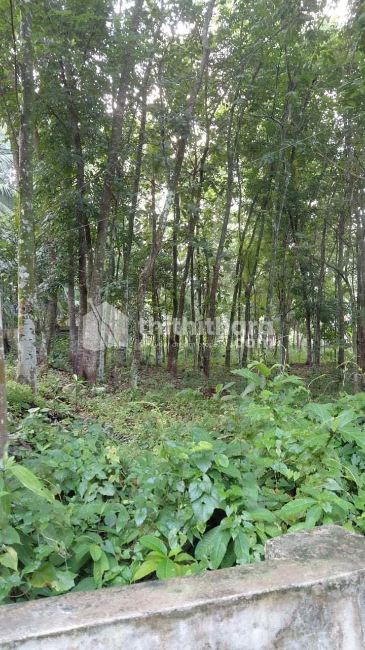 Land For Sale in  Kozhenchery, Pathanamthitta