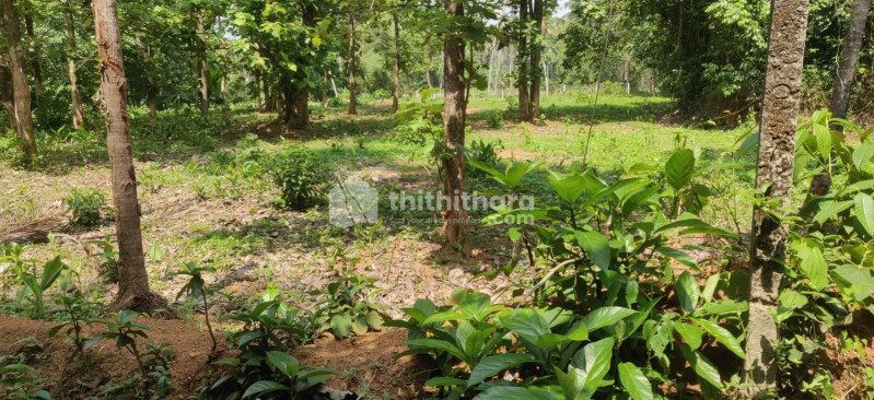 Land For Sale in Kunnamkulam, Thrissur