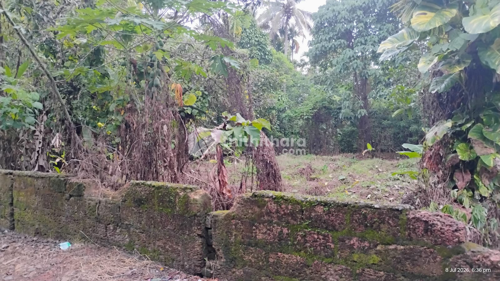  Land  For Sale in  Angamaly, Ernakulam