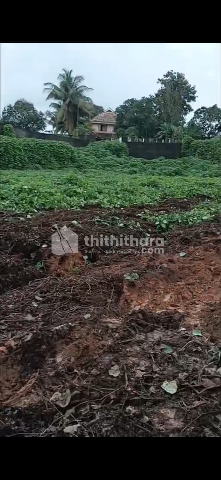 Land For Sale in Thrikkakara, Ernakulam