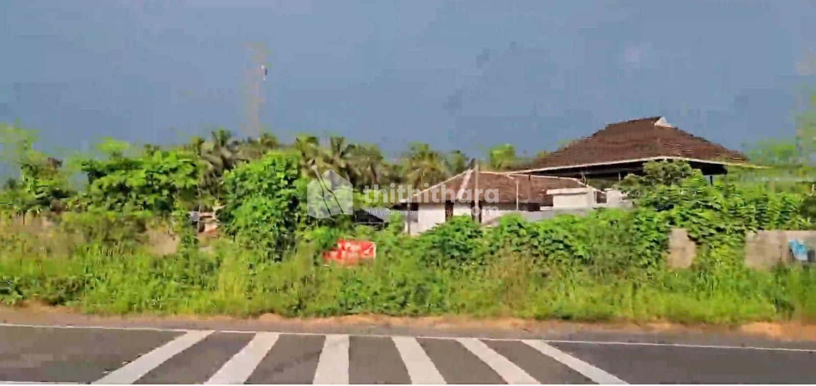 Plots for Sale in Muttikulangara Palakkad