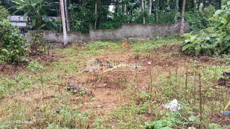 Land for Sale in Nannatkav Thiruvananthapuram