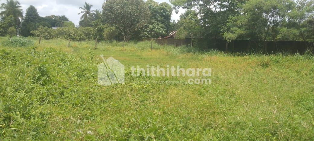 Land for Sale in Guruvayur Thrissur