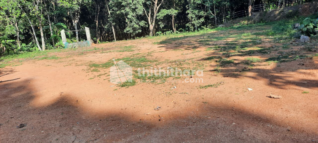  Land  For Sale in  Pala, Kottayam