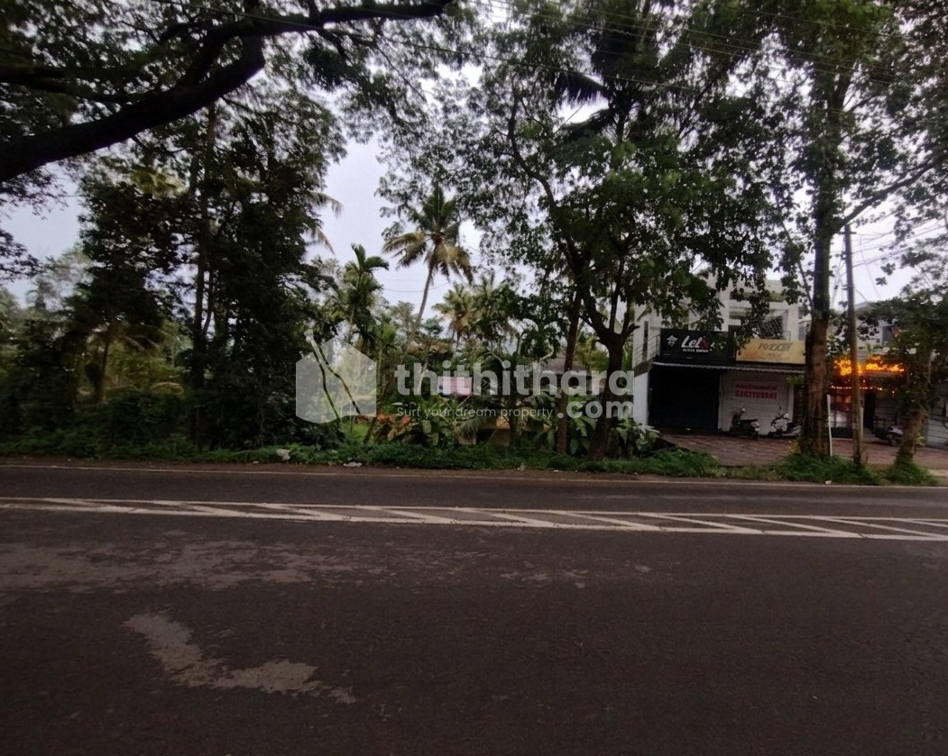 Plot For Sale In Kodungallur Thrissur  